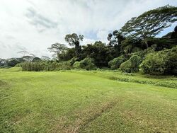 Springleaf Garden (D26), Semi-Detached #482002941